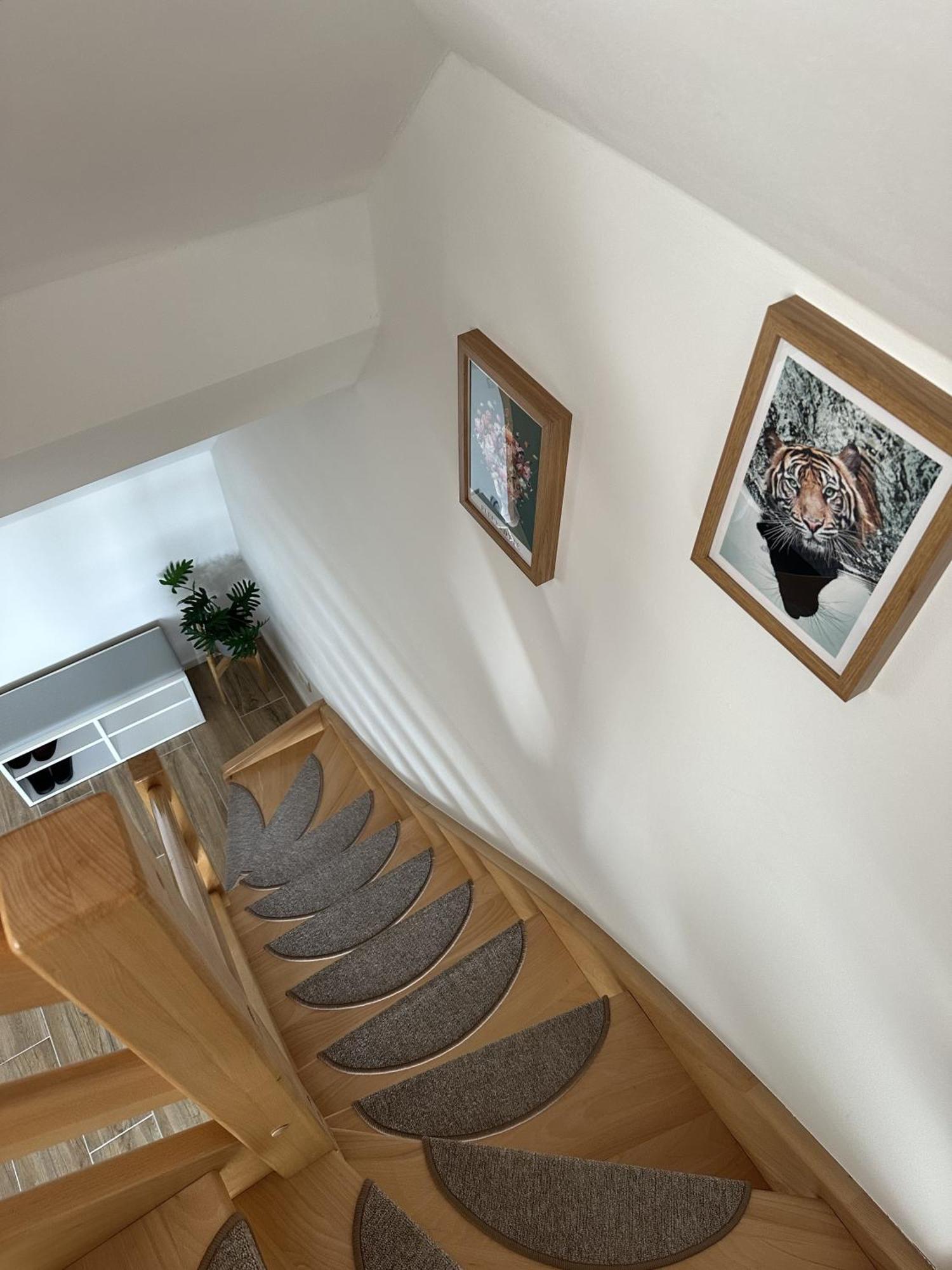 Europa Apartamenty Тженсач Екстериор снимка